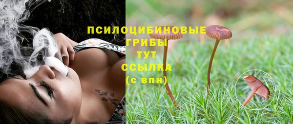 мескалин Арсеньев