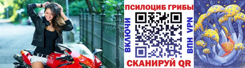 Галлюциногенные грибы Psilocybe Холмск